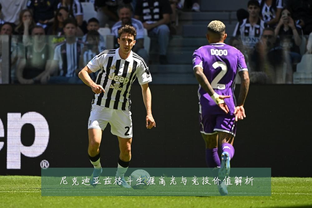 尼克迪亚兹格斗生涯高光与竞技价值解析