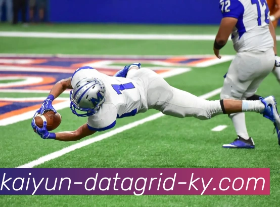 开云平台生态图